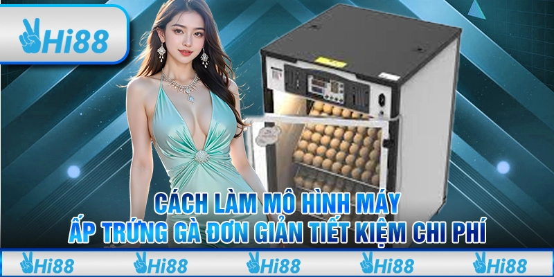 Cách Làm Mô Hình Máy Ấp Trứng Gà Đơn Giản Tiết Kiệm Chi Phí