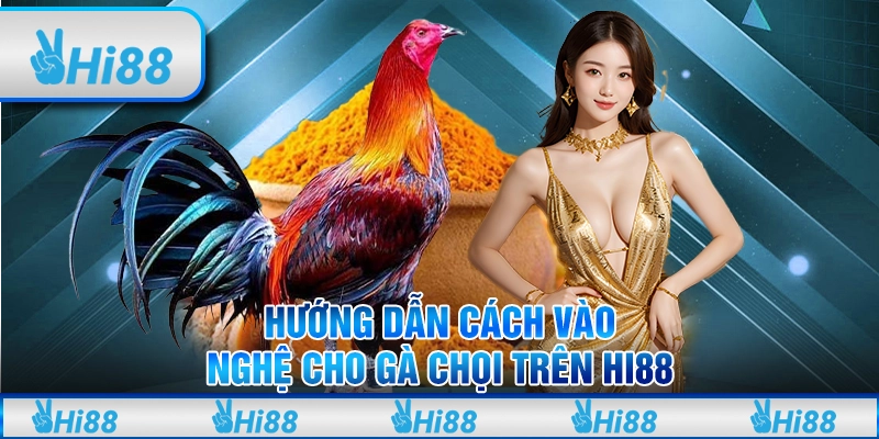Hướng Dẫn Cách Vào Nghệ Cho Gà Chọi Trên Hi88