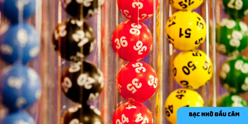 Theo dõi kết quả giúp nhận diện đầu câm nhanh chóng.