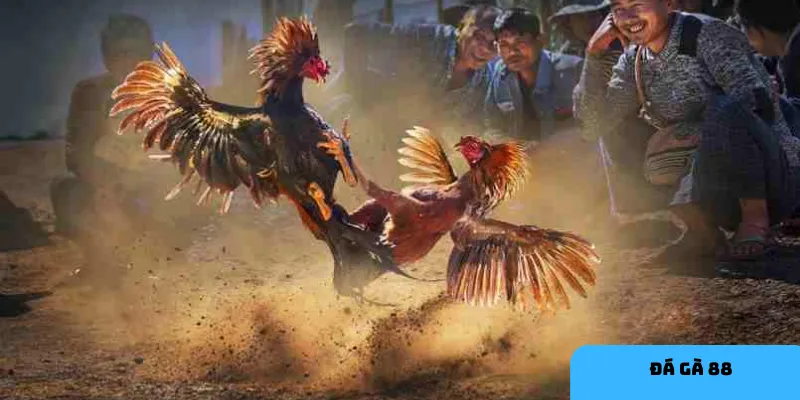 Đăng ký tài khoản dễ dàng trên HI88 giúp tham gia đá gà thuận lợi.