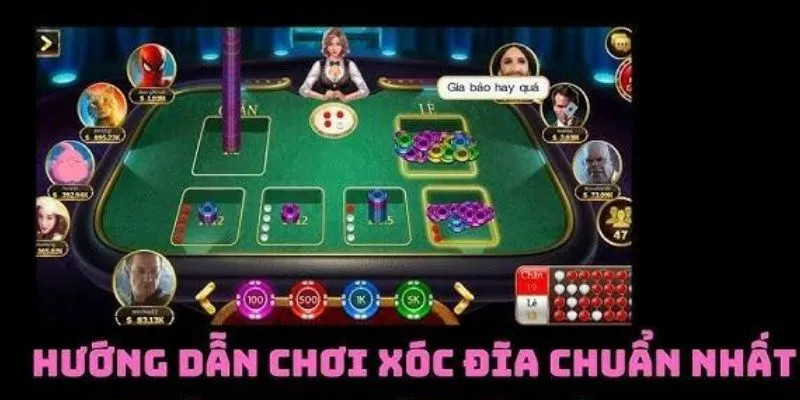 Các bí kíp cược từ chuyên gia xóc đĩa đầu ngành