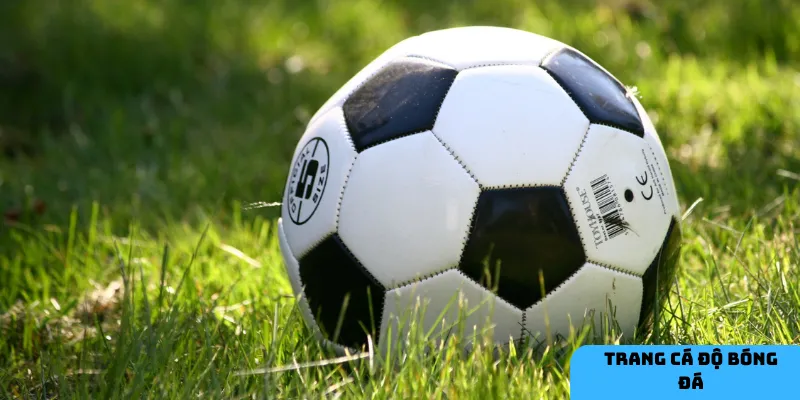 Lựa chọn trang cá độ có giấy phép và bảo mật cao để đảm bảo an toàn khi chơi.