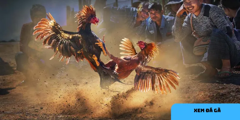 Quy trình tham gia đơn giản và an toàn