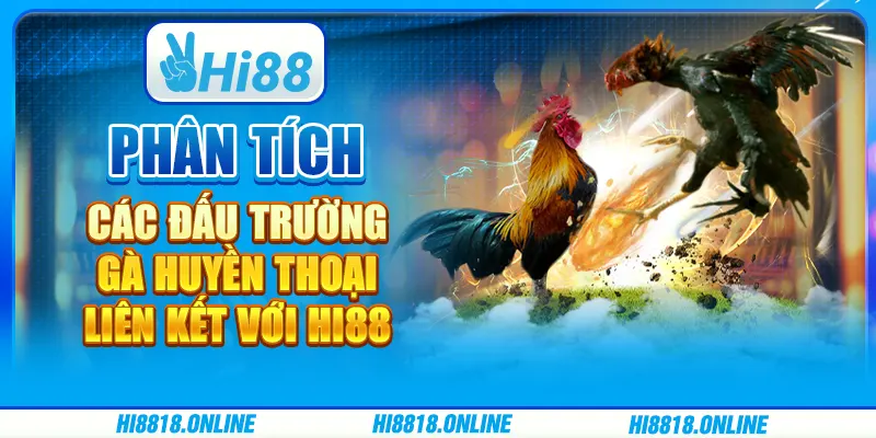 Phân tích các đấu trường gà huyền thoại liên kết với Hi88