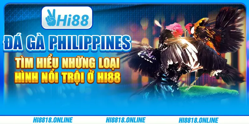 Đá gà Philippines - Tìm hiểu những loại hình nổi trội ở Hi88