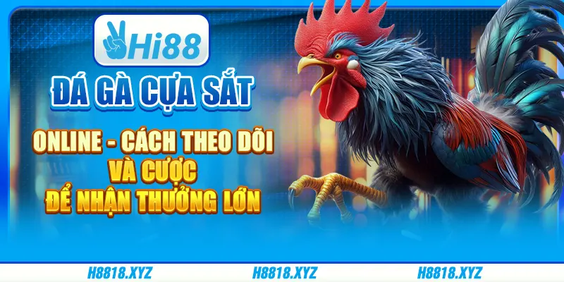 Đá gà cựa sắt online - Cách theo dõi và cược để nhận thưởng lớn