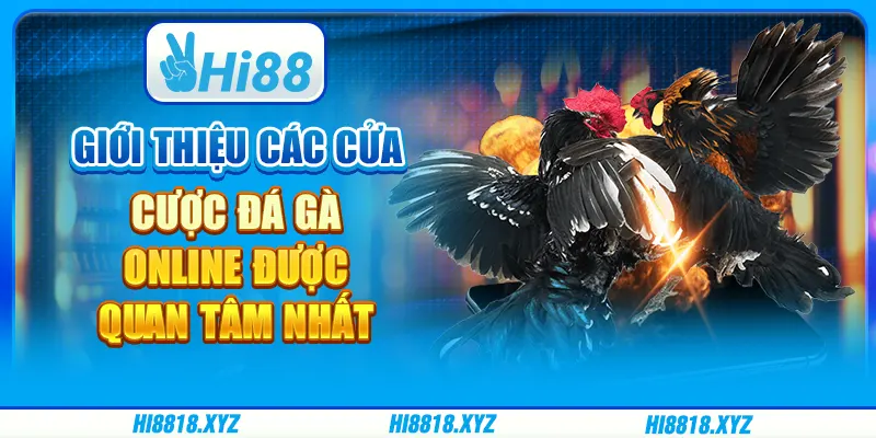Giới thiệu các cửa cược đá gà online được quan tâm nhất