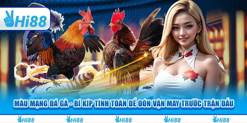 Màu mạng đá gà - Bí kíp tính toán để đón vận may trước trận đấu