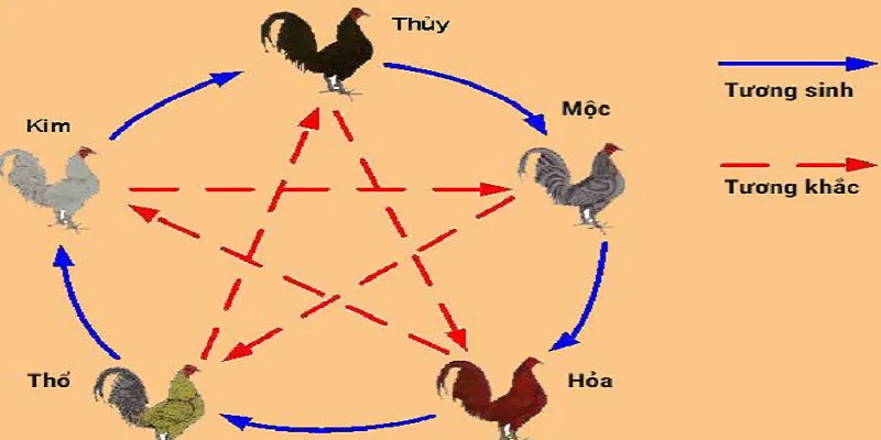 Màu mạng đá gà thường tuân theo quy luật âm dương, ngũ hành