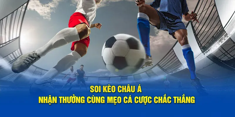 Mẹo bắt cược châu Á