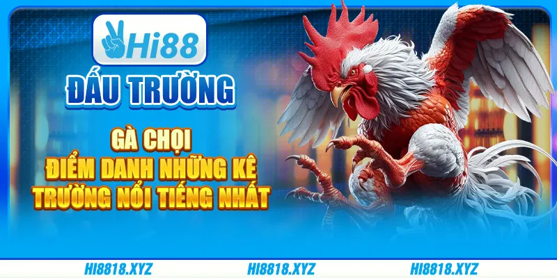 Đấu trường gà chọi- Điểm danh các kê trường nổi tiếng nhất