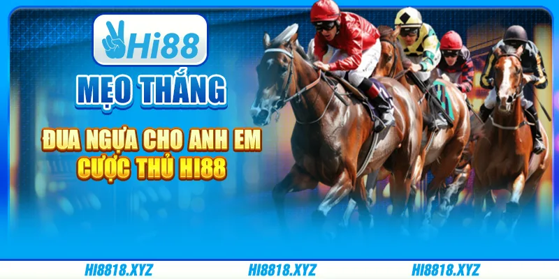 Mẹo thắng đua ngựa cho anh em cược thủ Hi88