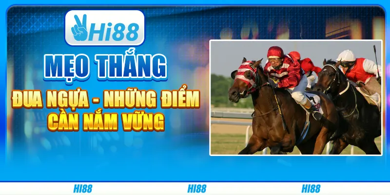 Mẹo thắng đua ngựa - Những điểm cần nắm vững