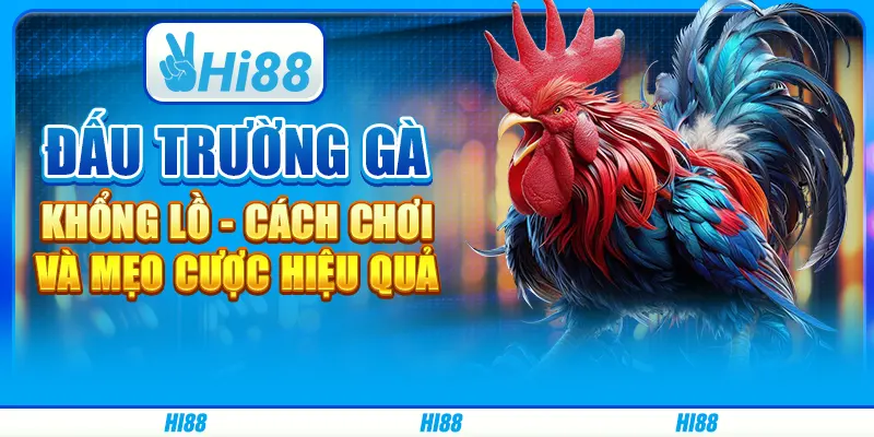 Đấu trường gà khổng lồ - Cách chơi và mẹo cược hiệu quả