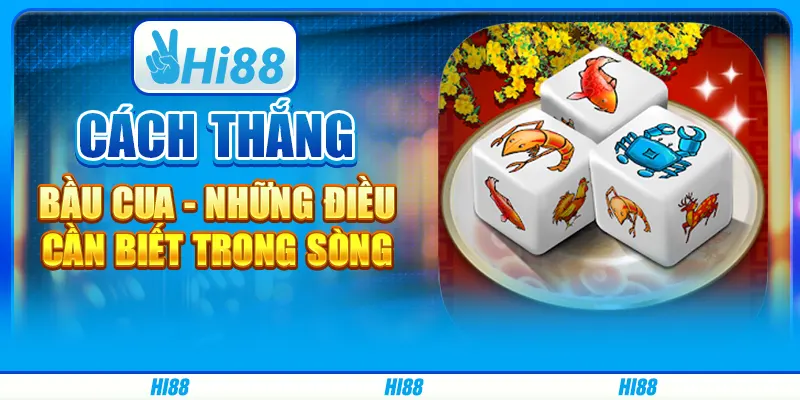 Cách thắng bầu cua - Những điều cần biết trong sòng