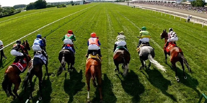 Đua ngựa có quy tắc cược chặt chẽ