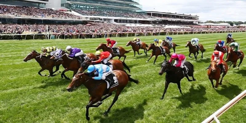 Mẹo thắng đua ngựa cho tân binh