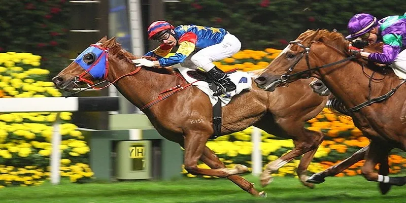 Mẹo thắng đua ngựa dễ hiểu, dễ triển khai