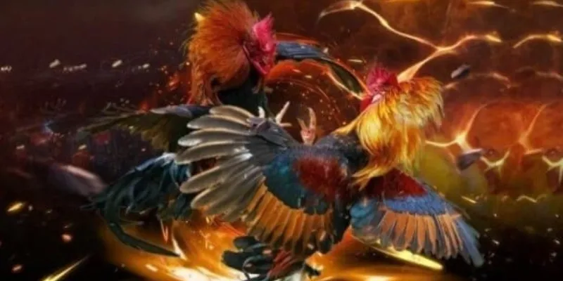 Bước quan trọng xác định khả năng chiến đấu