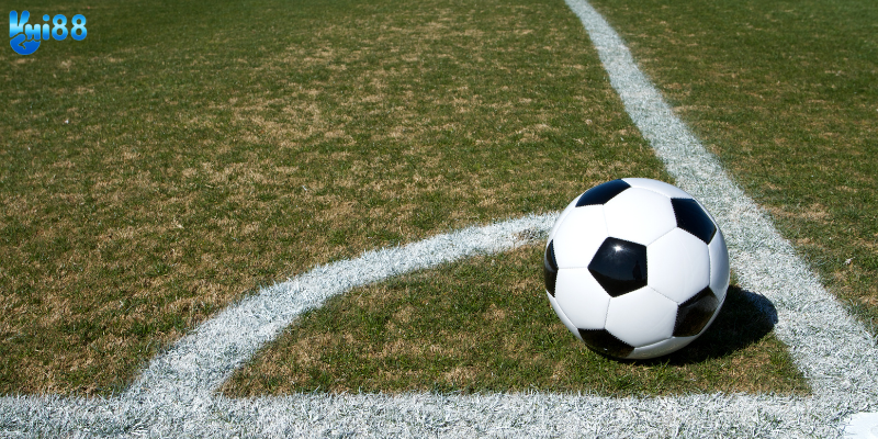 Xem xét kết quả và phân tán kèo cược hợp lý